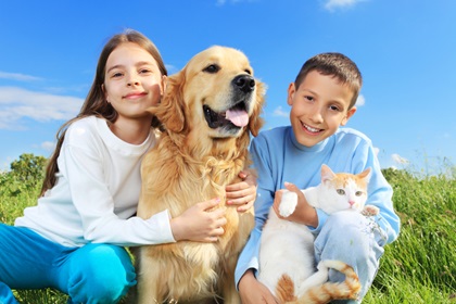 Nationwide Pet Insurance